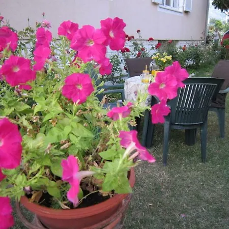 Apartamento Toni *